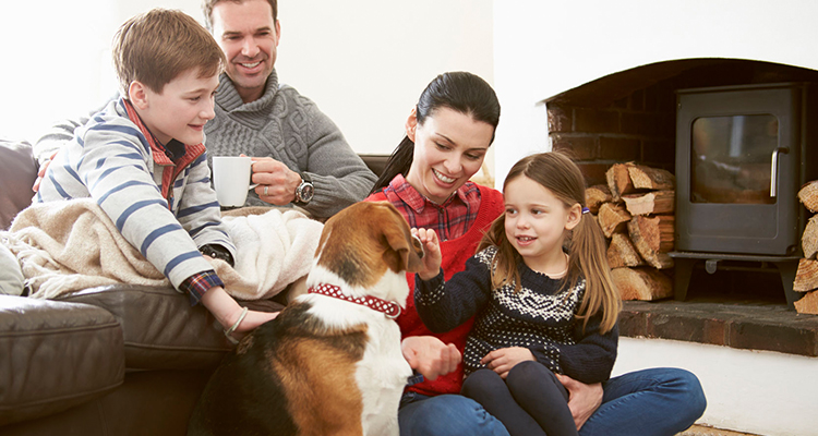 How to Keep Your Pets (And Your Home) Happy this Winter!  