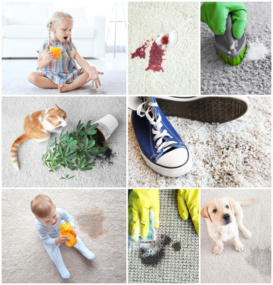 How to Handle Stains Using the Best Carpet Stain Remover