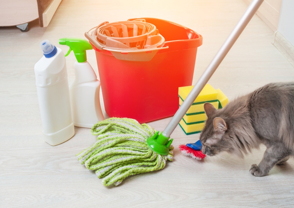 5 Household Cleaning Products That Harm Pets